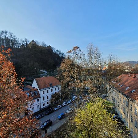 Bossa Nova Castle&Outstanding Home With Garage Laibach Exterior foto